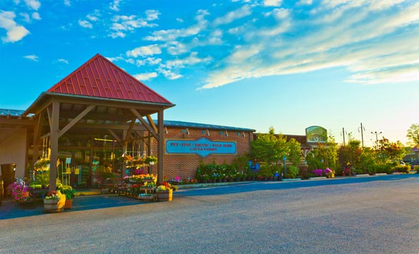 Animal Feed Stores in Gap: Stoltzfus Feed & Supply