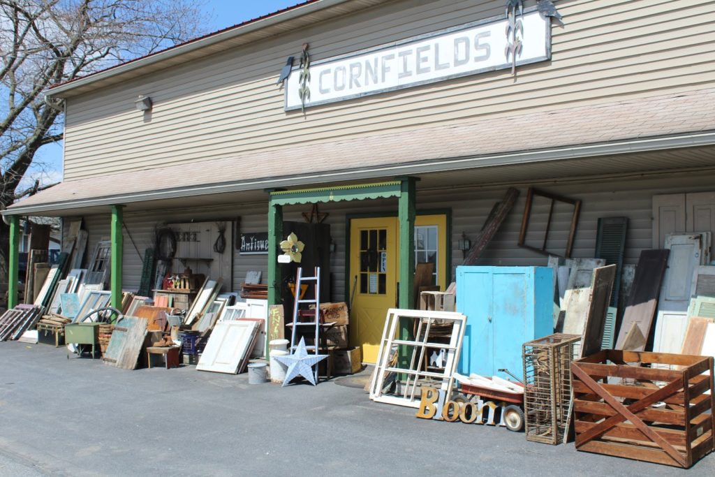 Antique Stores in New Holland: Cornfields