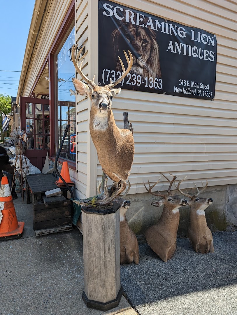 Antique Stores in New Holland: Screaming Lion Antiques