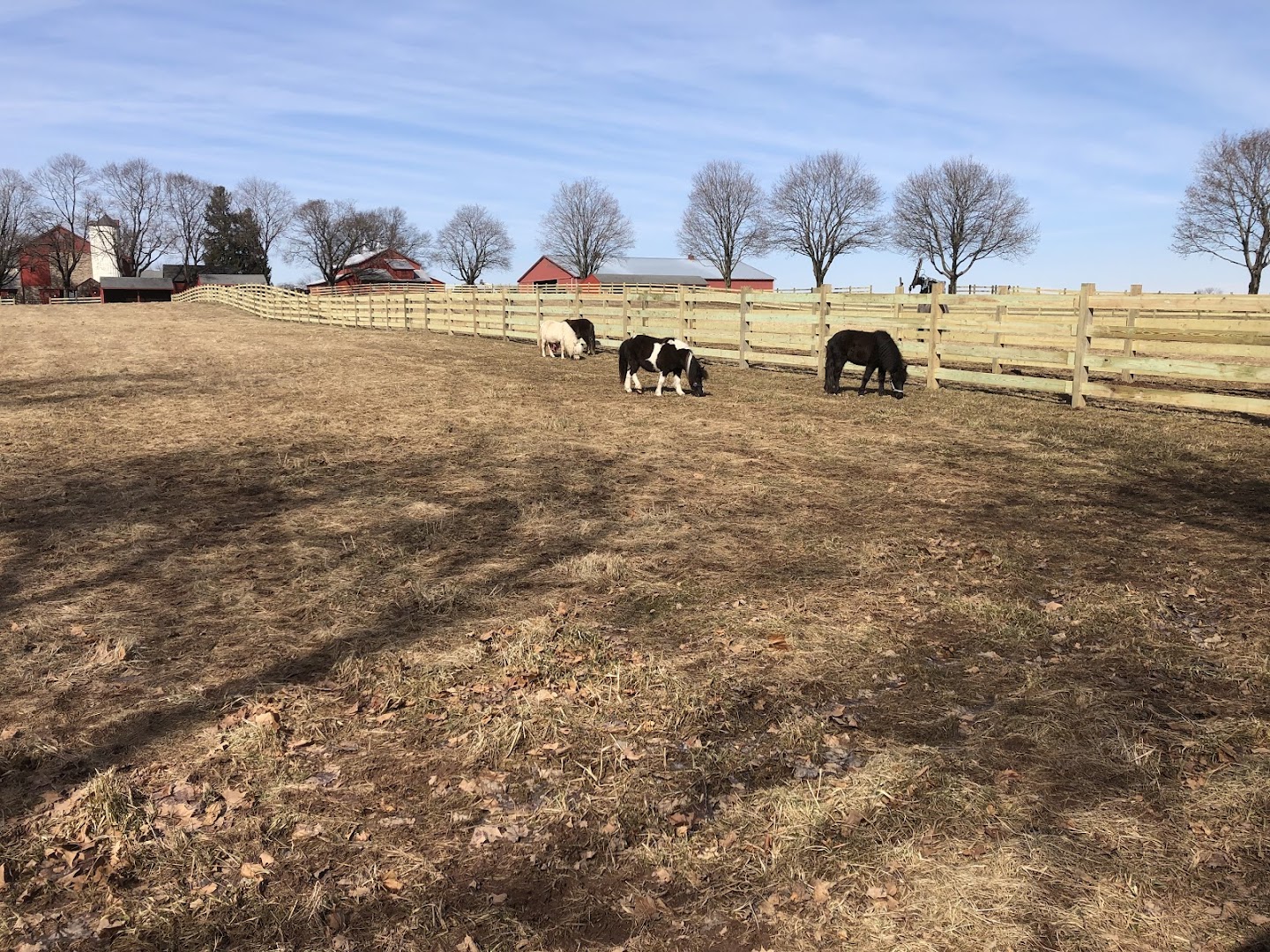 Fence Supply Stores in East Earl: L B Fencing