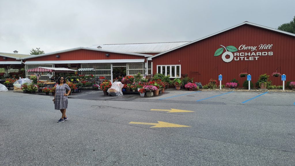 Pick Your Cherries - Turkey Hill Orchard: Lancaster Produce Markets