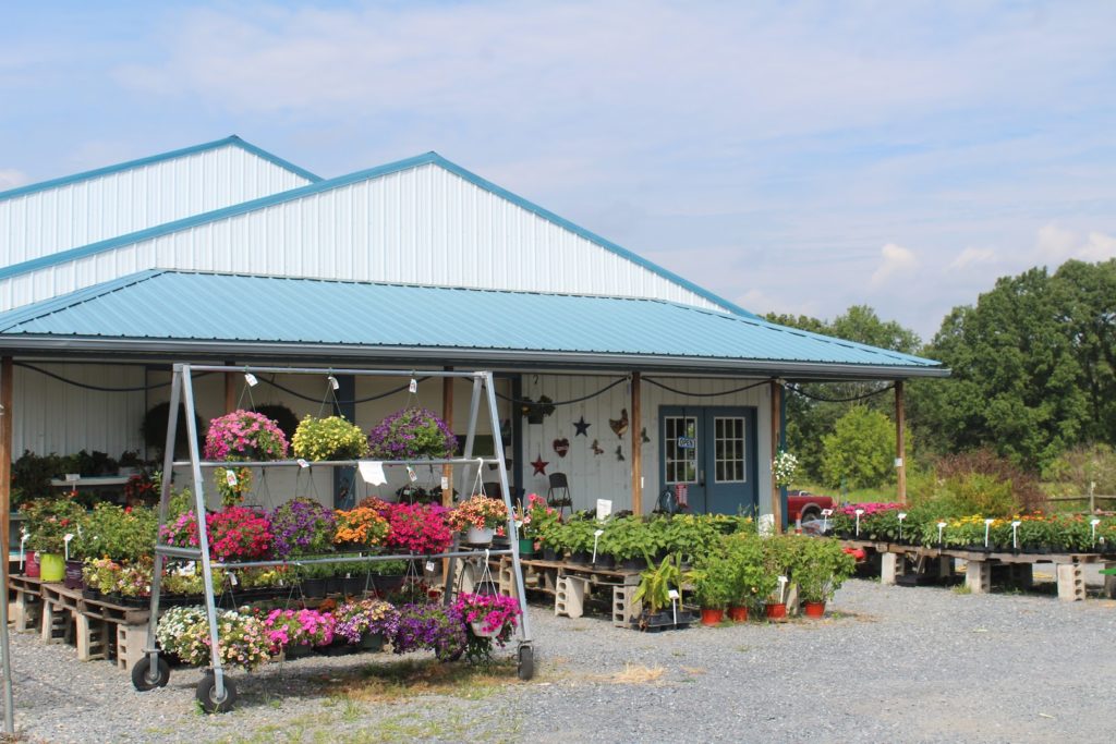 Dogwood Farm Market LLC: Reinholds Farmers' Markets