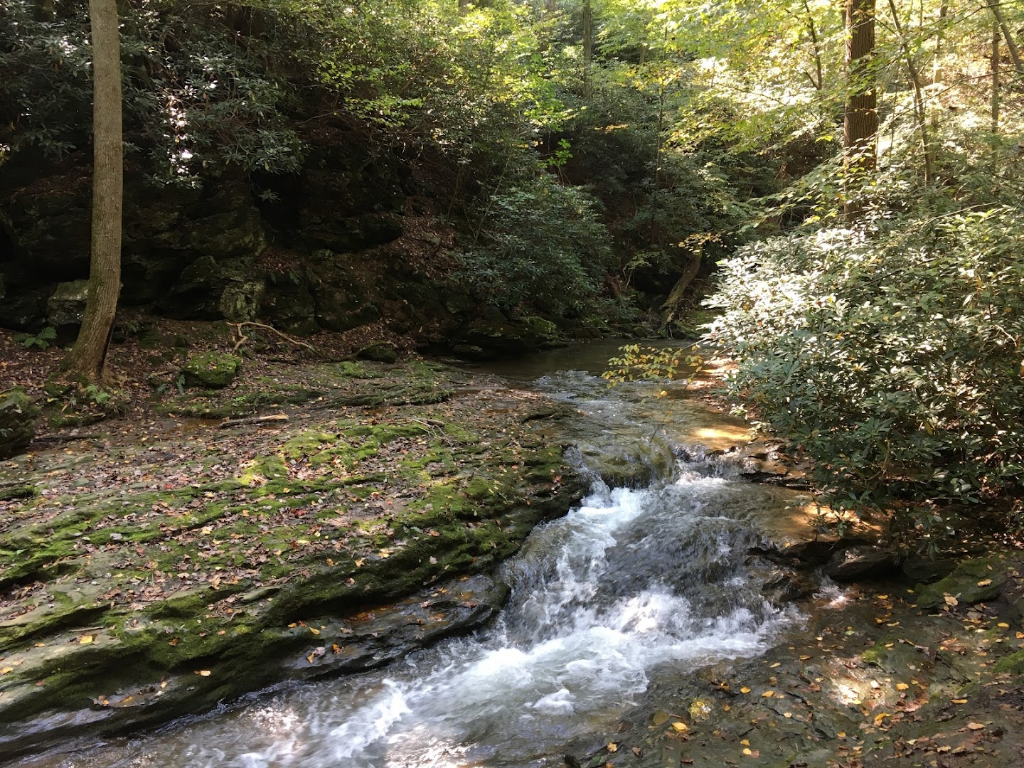 Tucquan Glen & Pyfer Nature Preserves: Holtwood Campgrounds