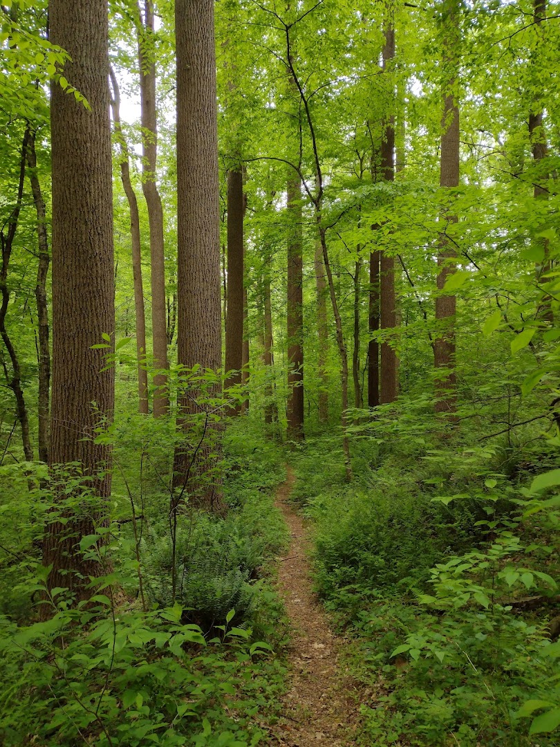 Hammer Creek Rocks: Lititz Hiking Areas