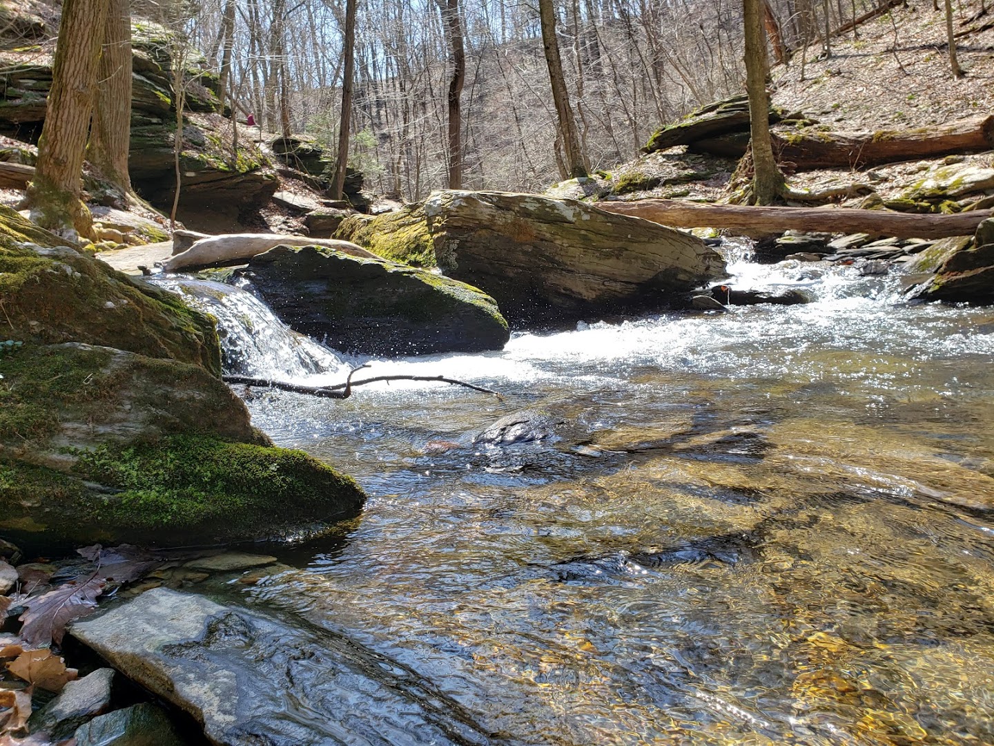 Climbers Run Nature Center: Pequea Nature Preserves