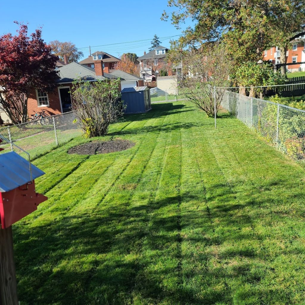 Landscapers in Columbia: Retamar Bros Lawn Care LLC