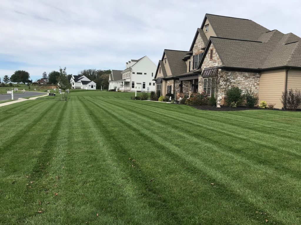 Landscapers in Lancaster: BB Landscaping