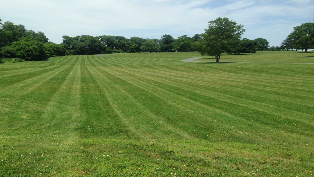 Landscapers in Lancaster: DWD Landscaping & Services LLC