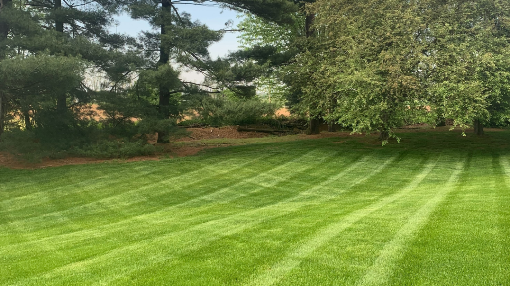 Landscapers in Lancaster: Esh Lawncare