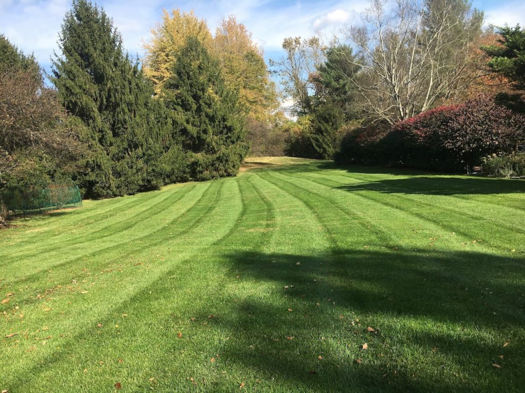 Landscapers in Lancaster: JF Lawn & Reno