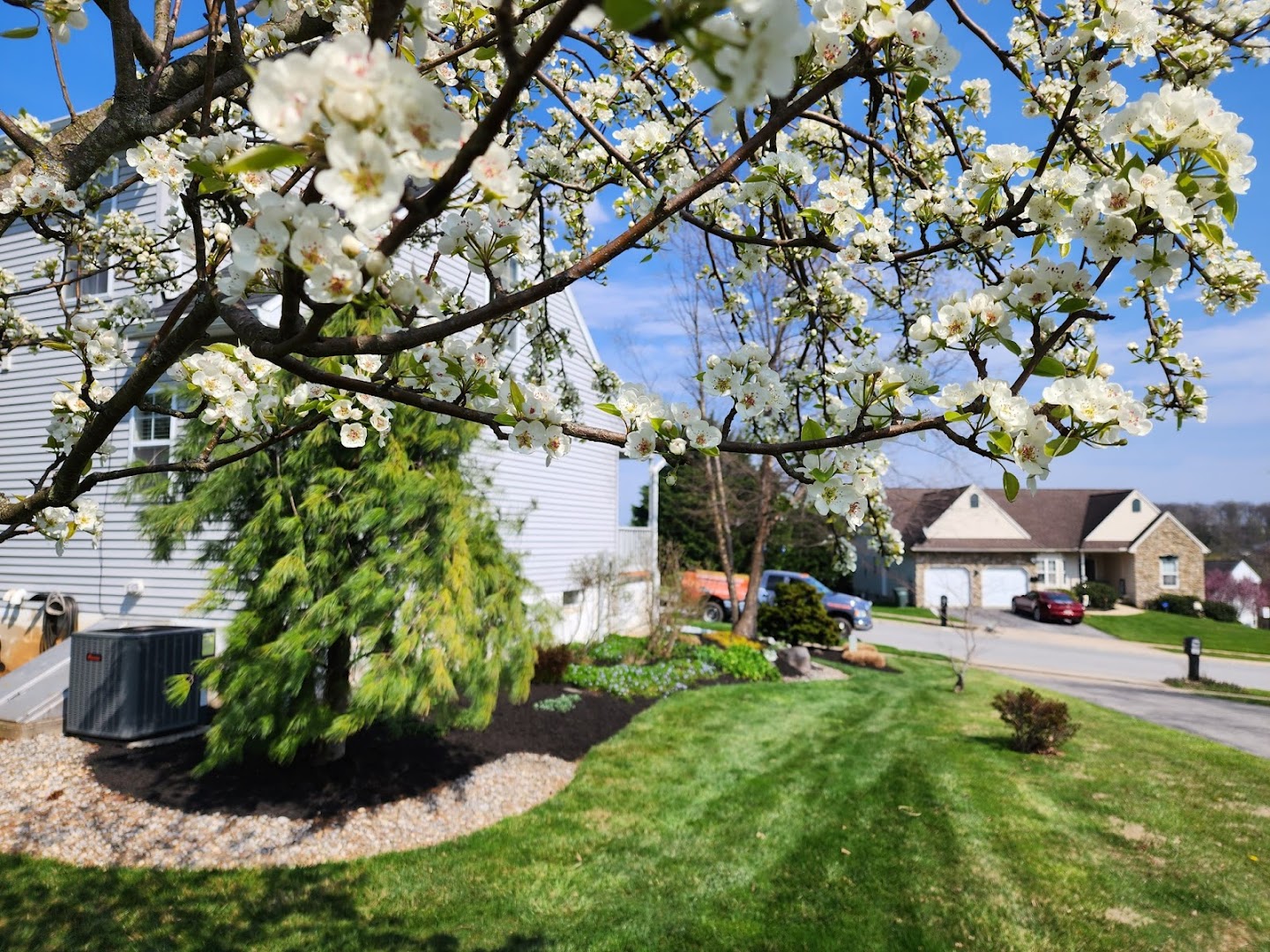 Landscapers in Lancaster: Lionscape