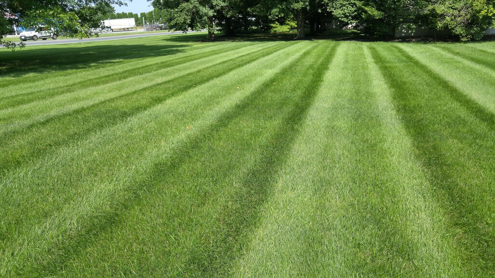 Landscapers in Lancaster: Miko Lawn & Landscape