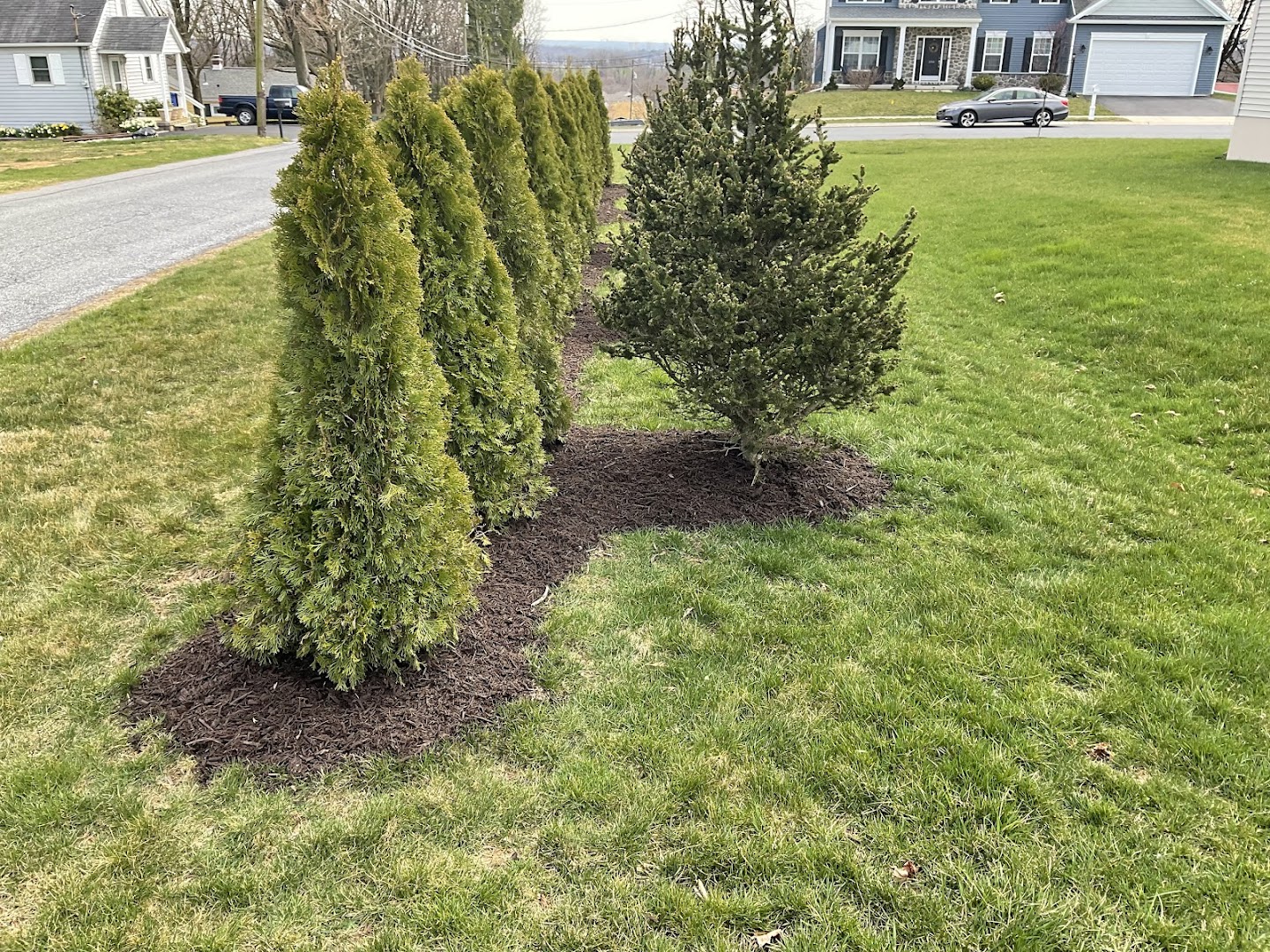 Landscapers in Lancaster: Steel Cut Lawn Care