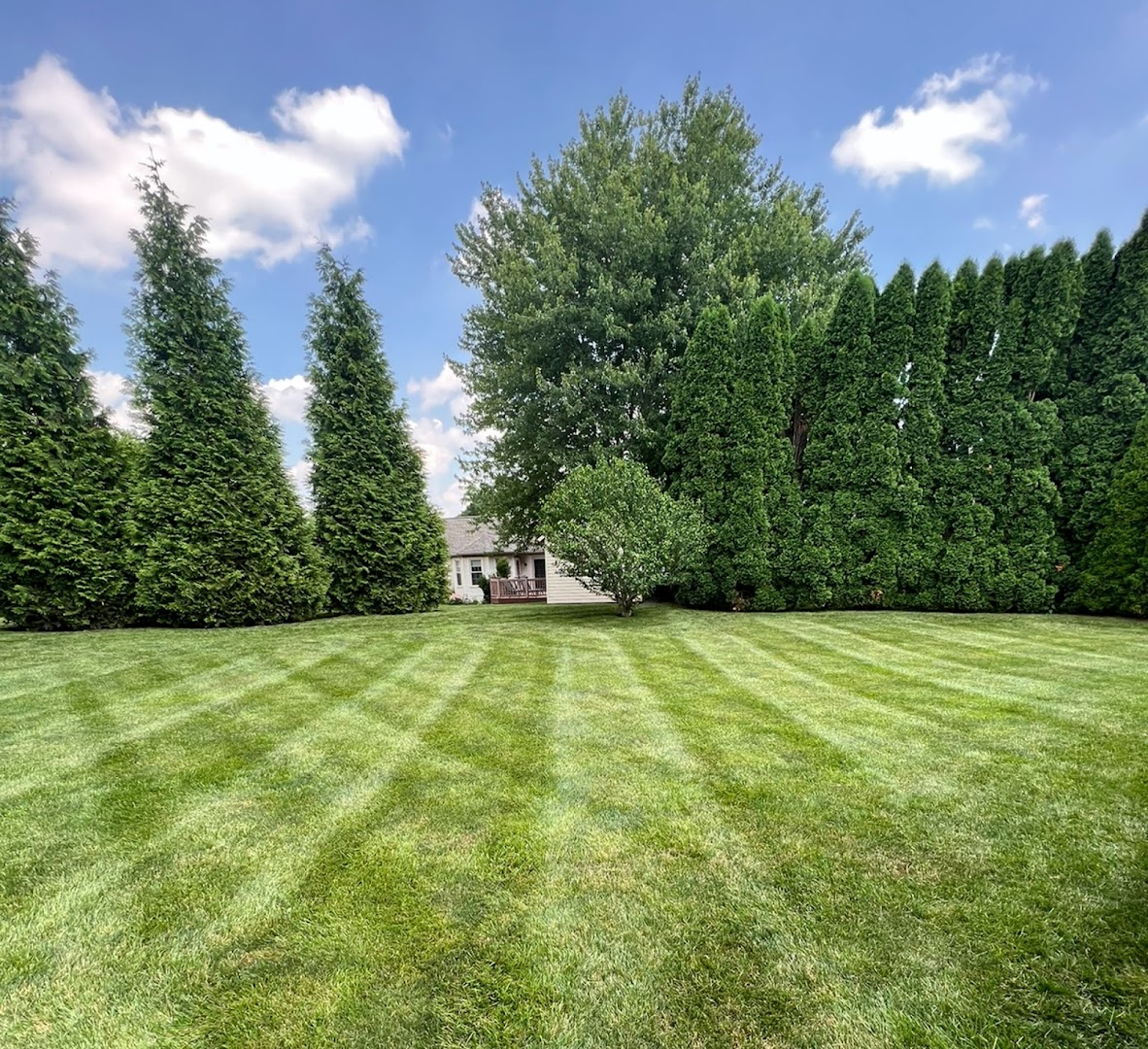 Landscapers in Lancaster: Xavier Lawn Care