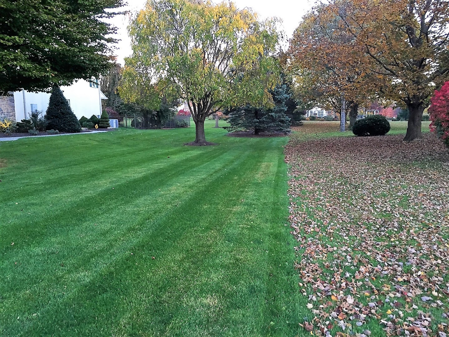 Landscapers in Lititz: Centerville Lawn & Landscape Service