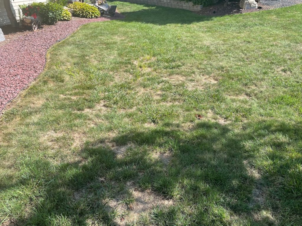 Landscapers in Lititz: TruGreen Lawn Care