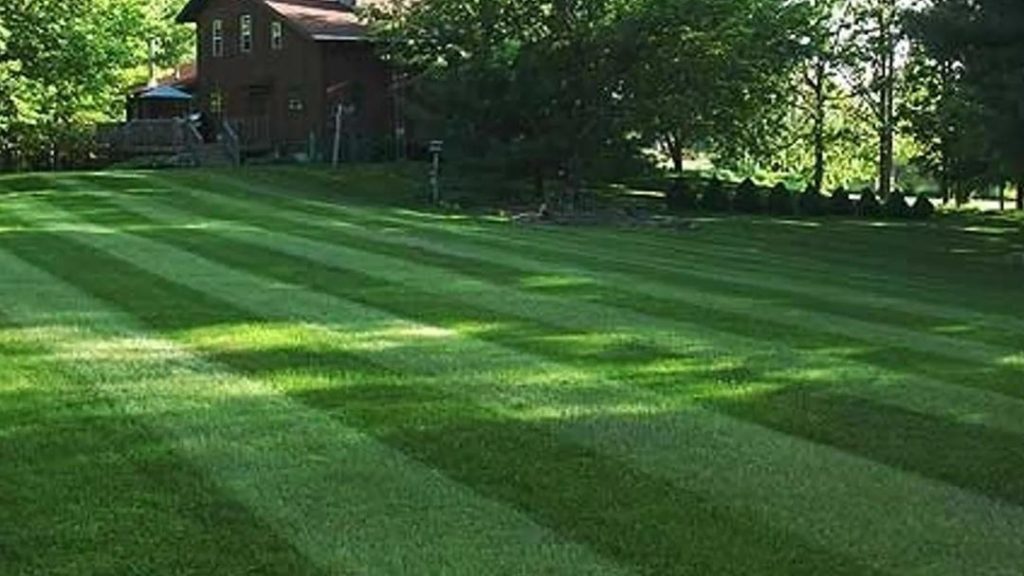 Landscapers in Manheim: Veteran Professional Lawn Service