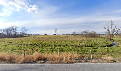 Landscapers in Mount Joy: Hoffer Property Management