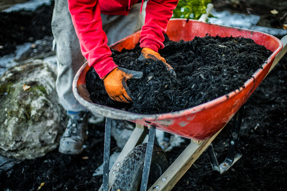 Landscapers in Mount Joy: Mulch N More