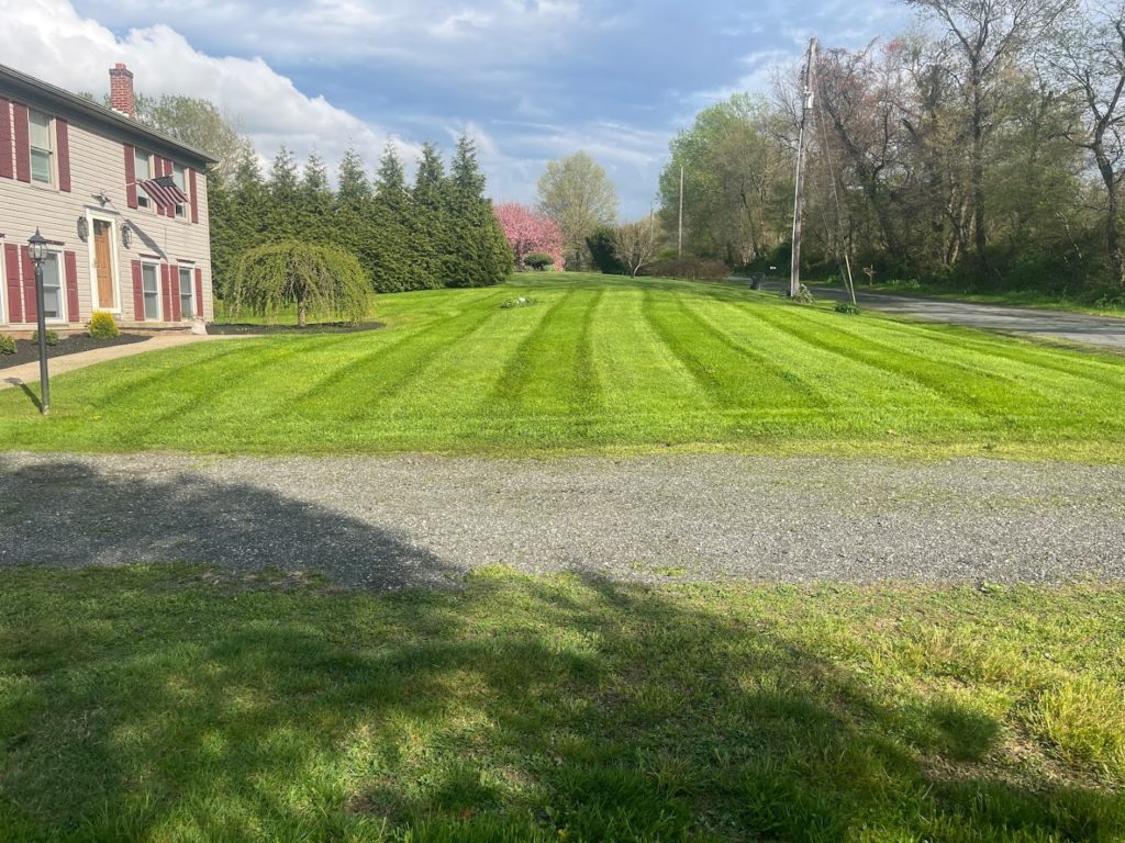 Landscapers in New Providence: Checkers Landscaping & lawn care