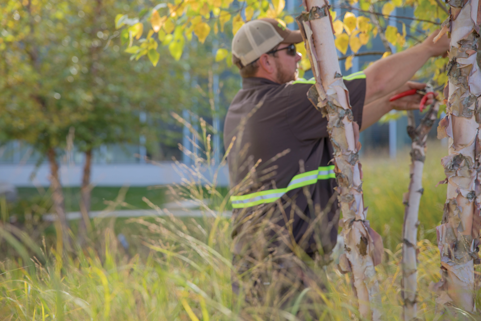 Landscapers in Stevens: Strauser Nature's Helpers