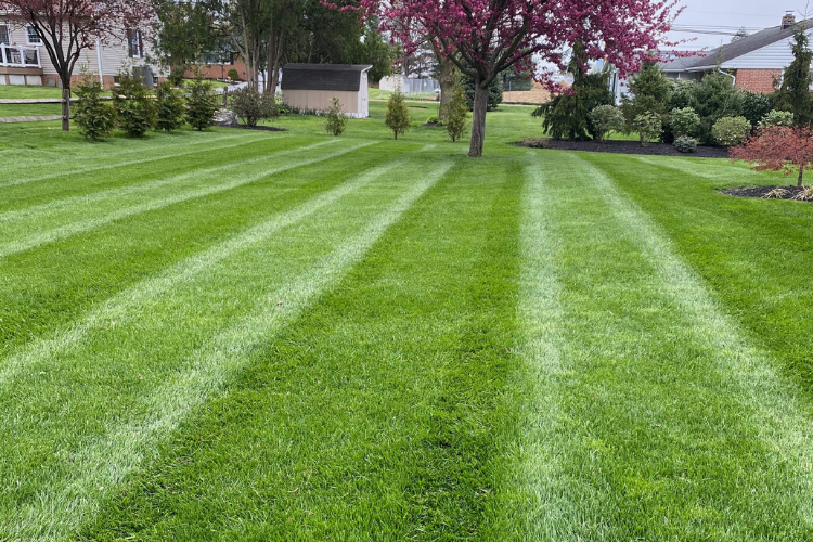 Landscapers in Willow Street: Garber Turf Care