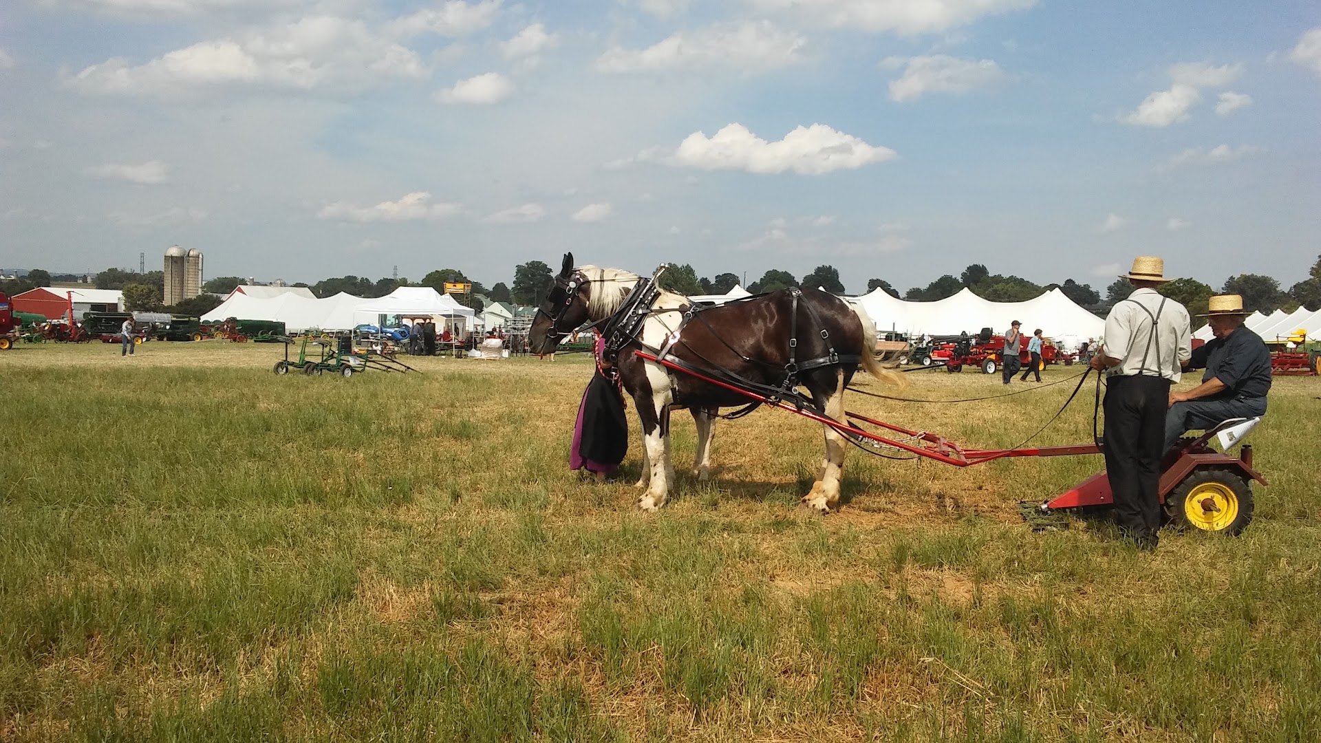 Museums in Leola: Horse progress days