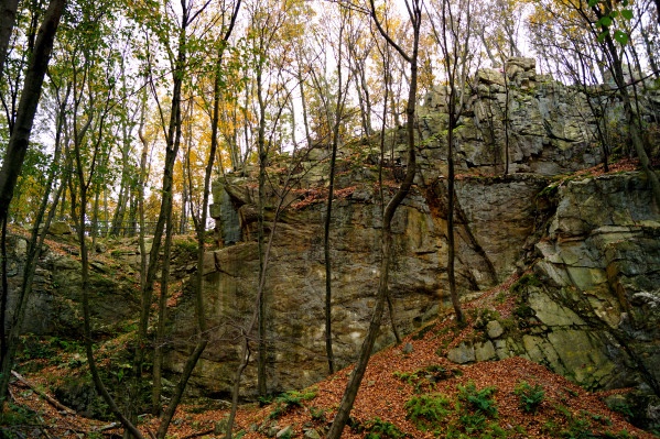 Money Rocks County Park: Narvon Parks