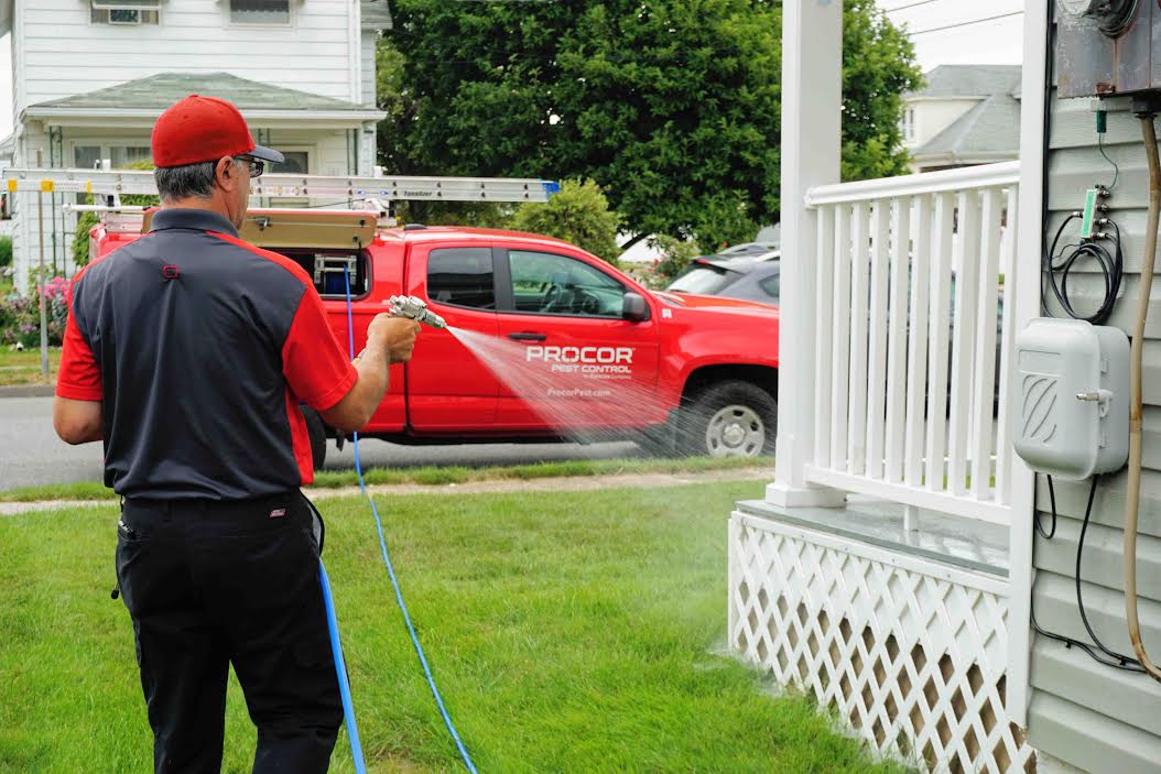 Pest Control Services in Columbia: Procor Pest Control