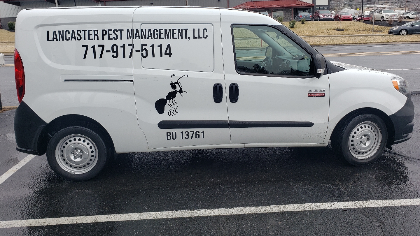 Pest Control Services in Lancaster: Lancaster Pest Management - Ephrata PA