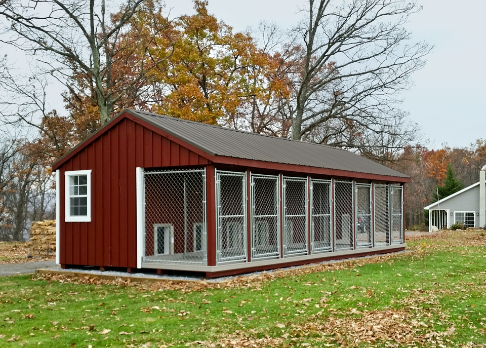 Pet Stores in Willow Street: The Dog Kennel Collection