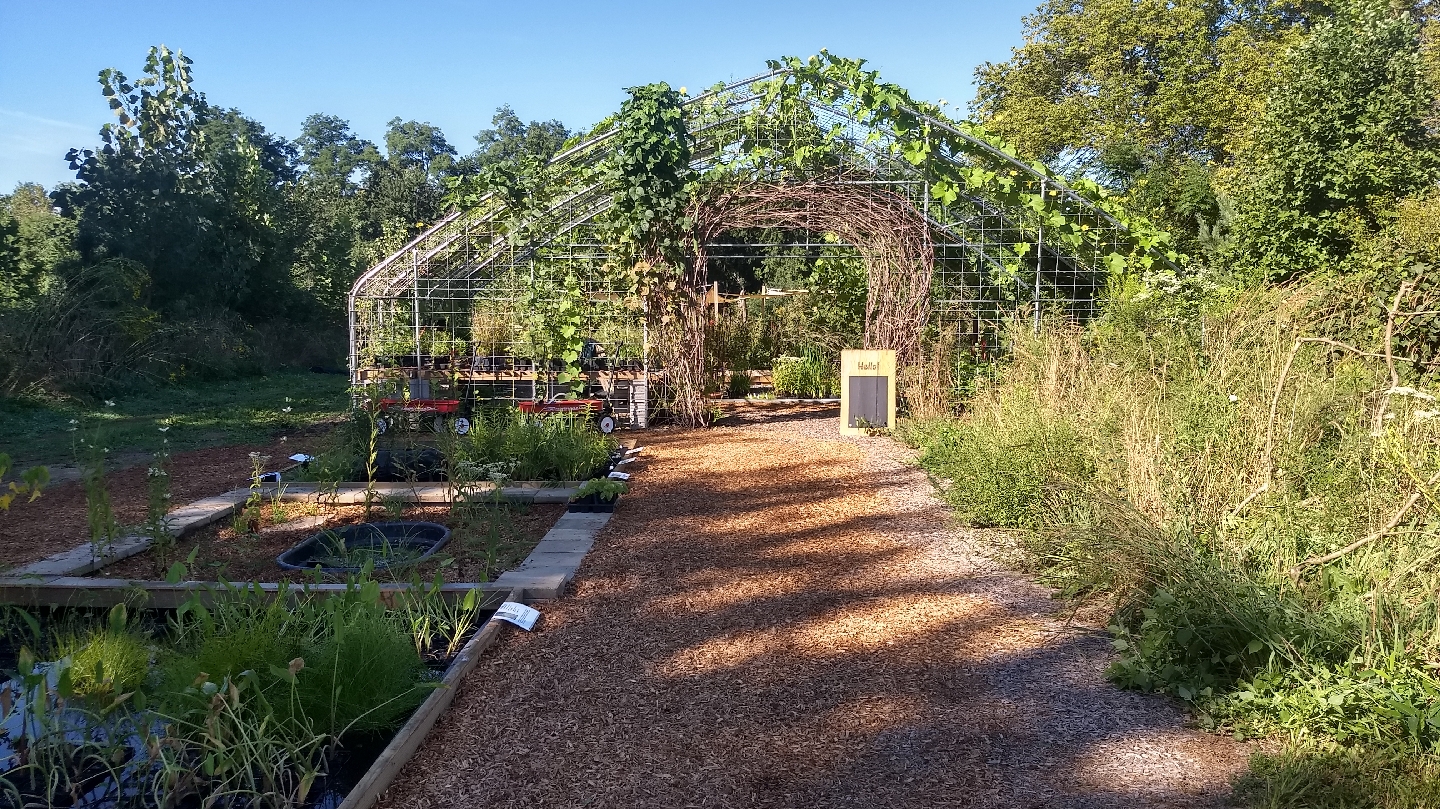 Plants in Bainbridge: Hungry Hook Farm LLC