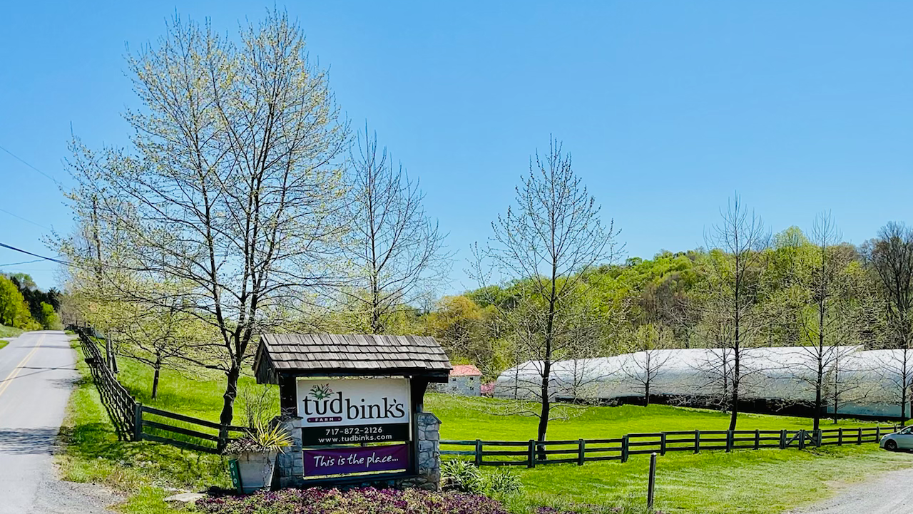 Plants in Conestoga: Tudbink's Farm