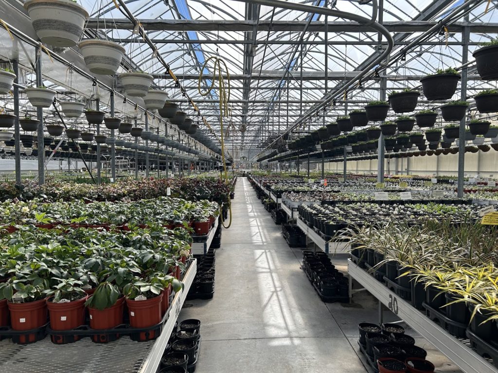 Plants in East Earl: Black Creek Greenhouses