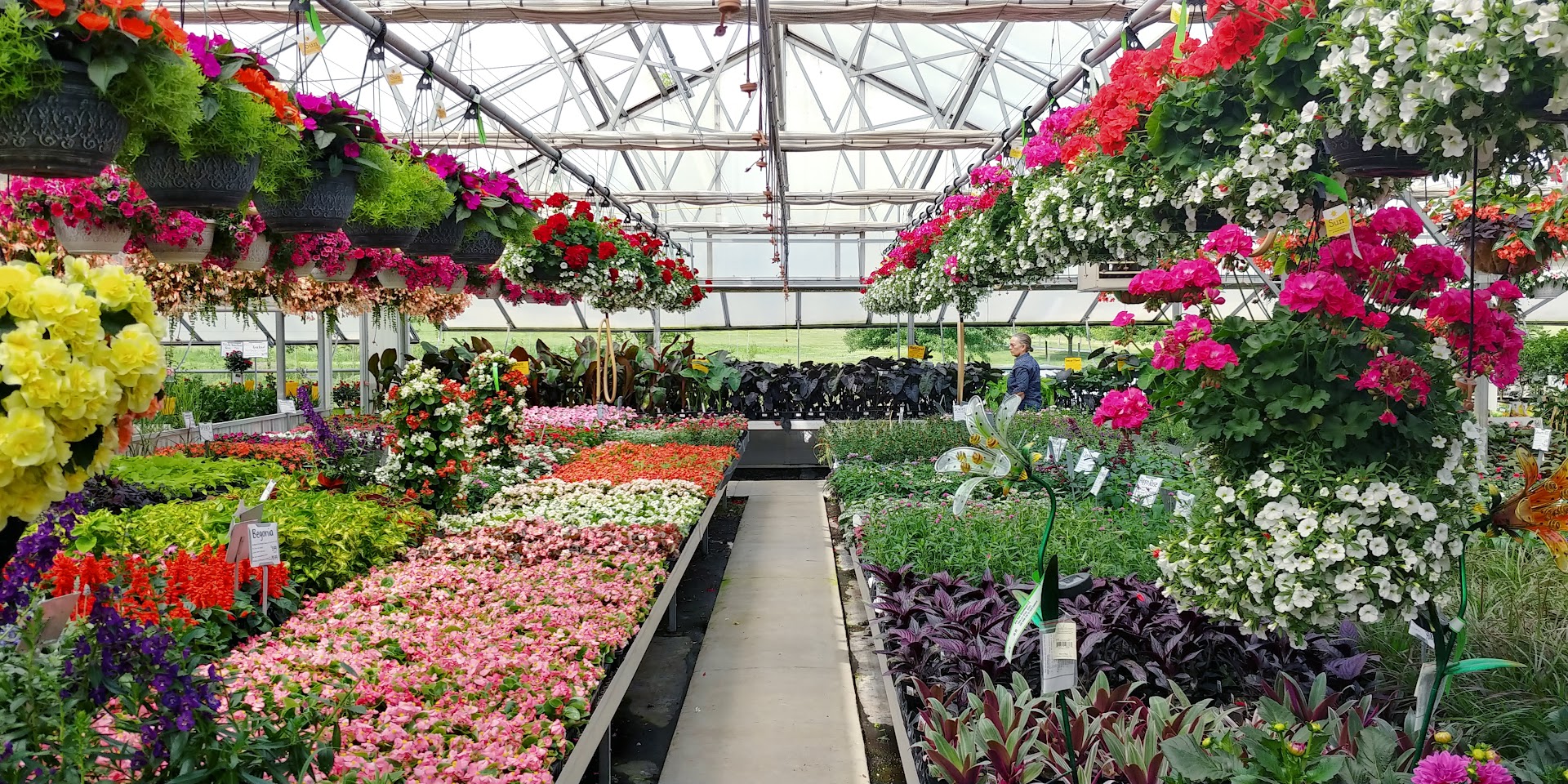 Plants in East Earl: Briar Rose Greenhouse