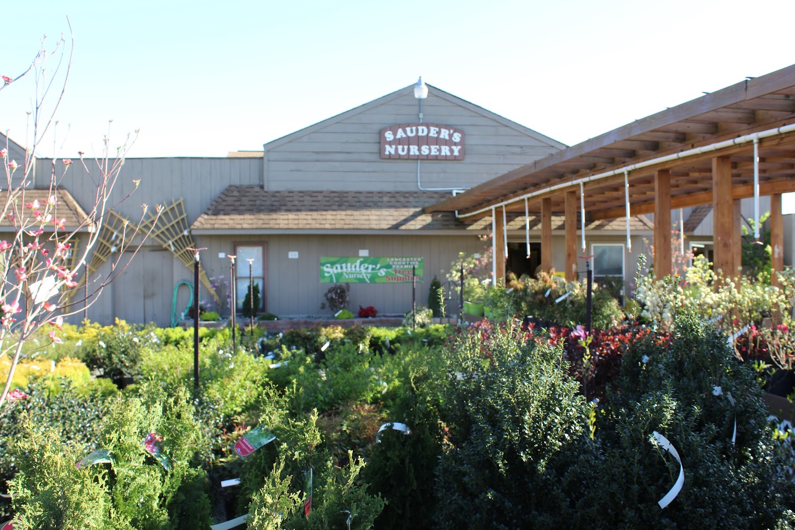 Plants in East Earl: Sauder's Nursery