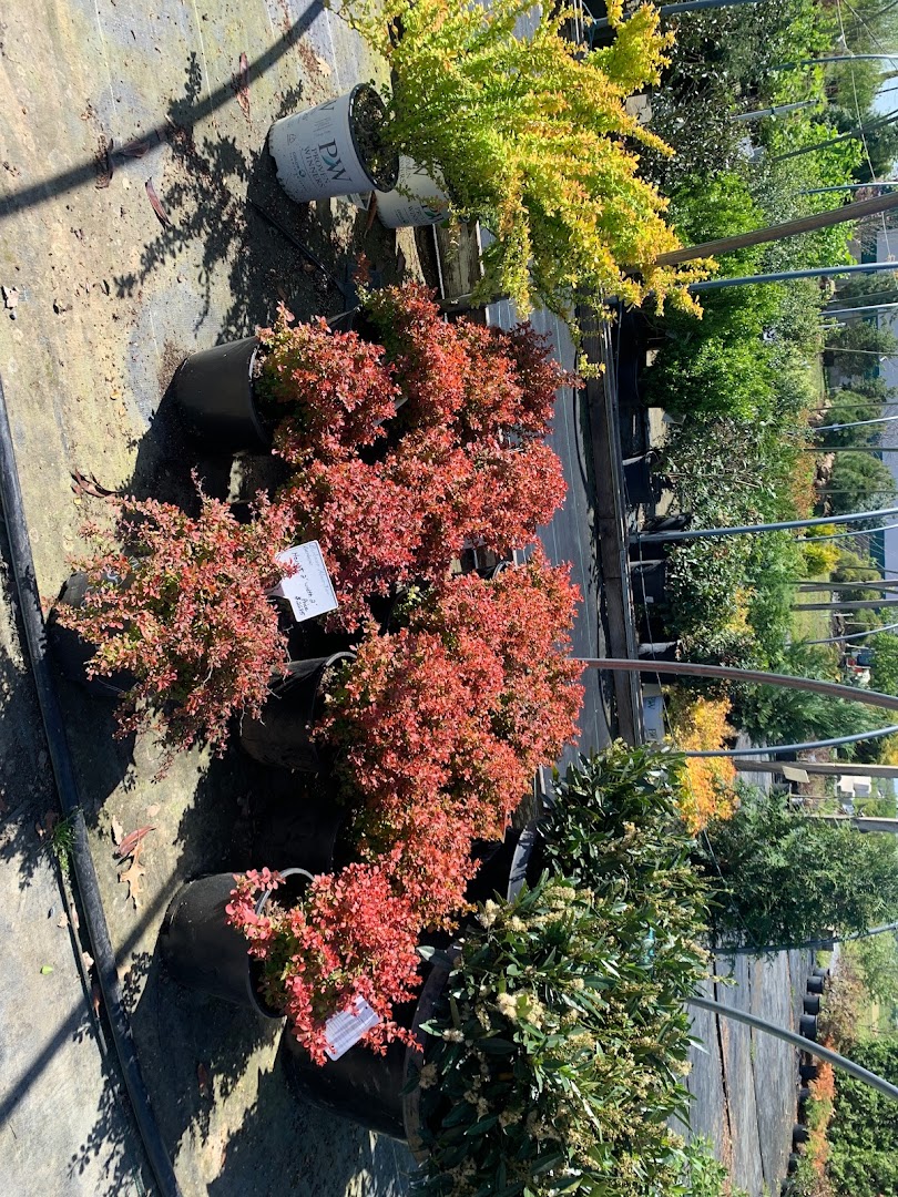 Plants in Ephrata: Country Meadows Nursery