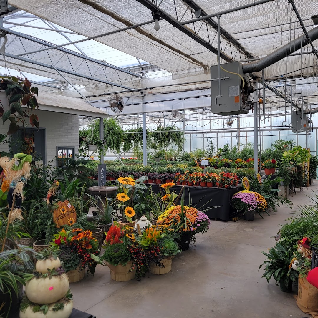 Plants in Ephrata: Farmstead Flowers