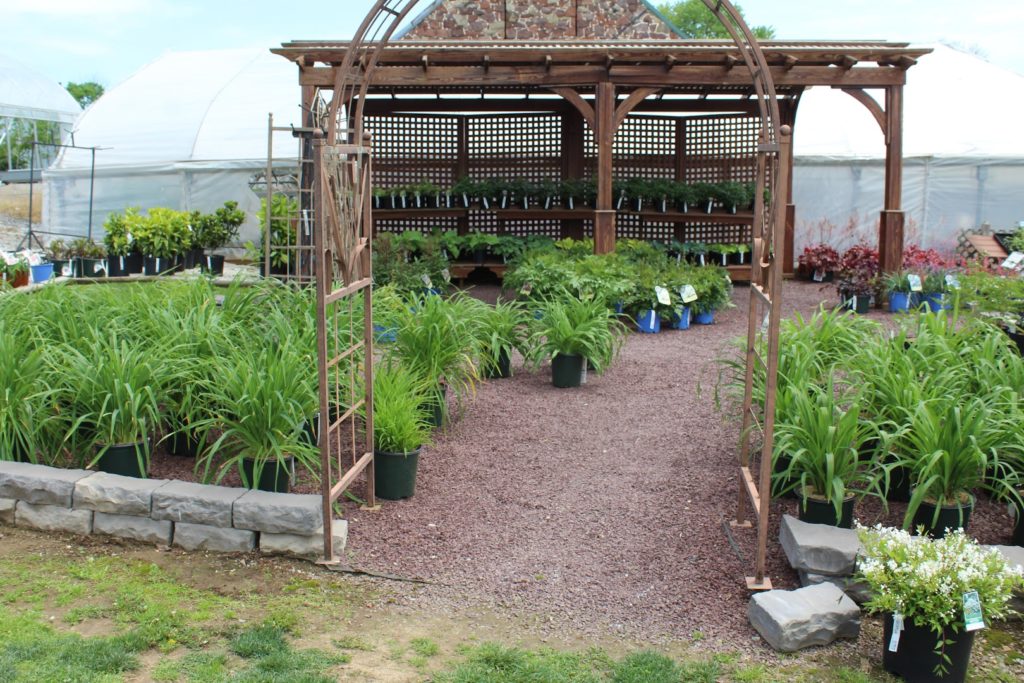 Plants in Ephrata: Village Farm Garden Center