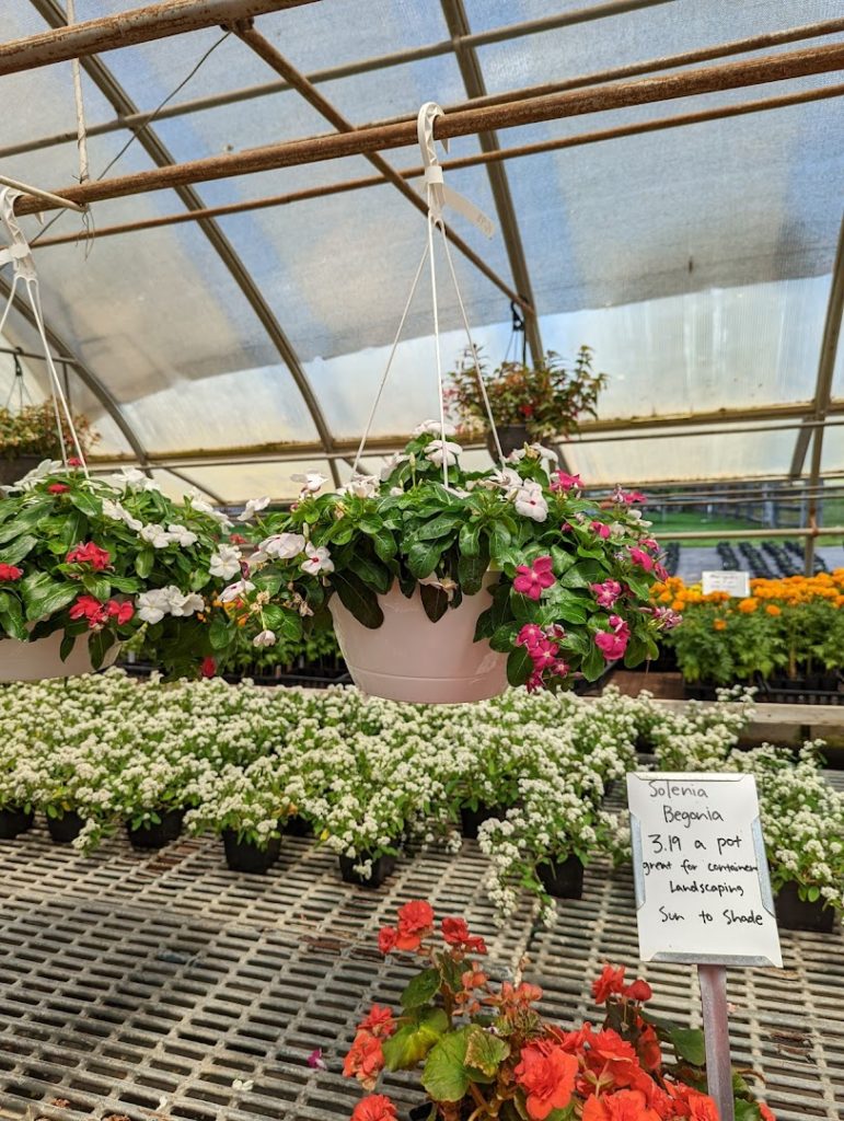 Plants in Kinzers: Stoltzfoos Greenhouse