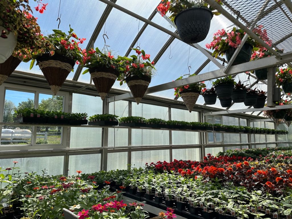 Plants in Lancaster: Greenland Supplies