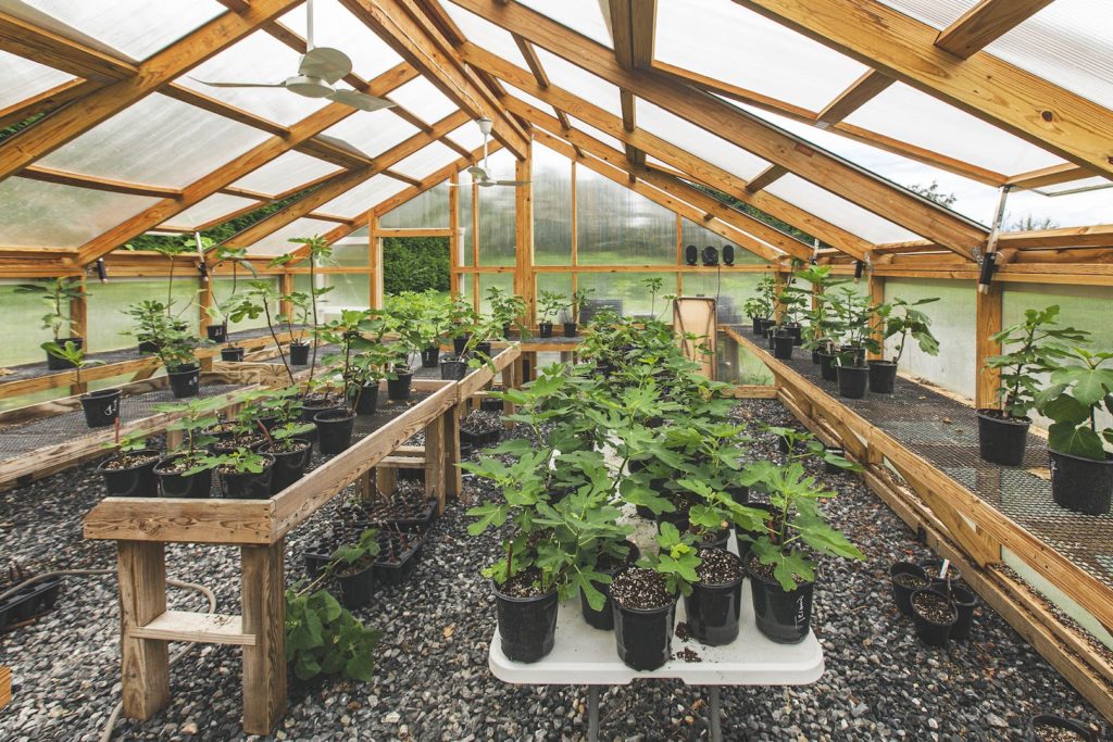 Plants in Lancaster: Off the Beaten Path Nursery