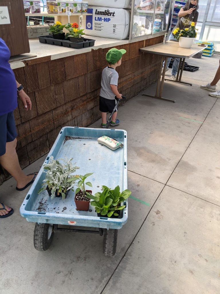 Plants in Lancaster: Shenk's Greenhouse