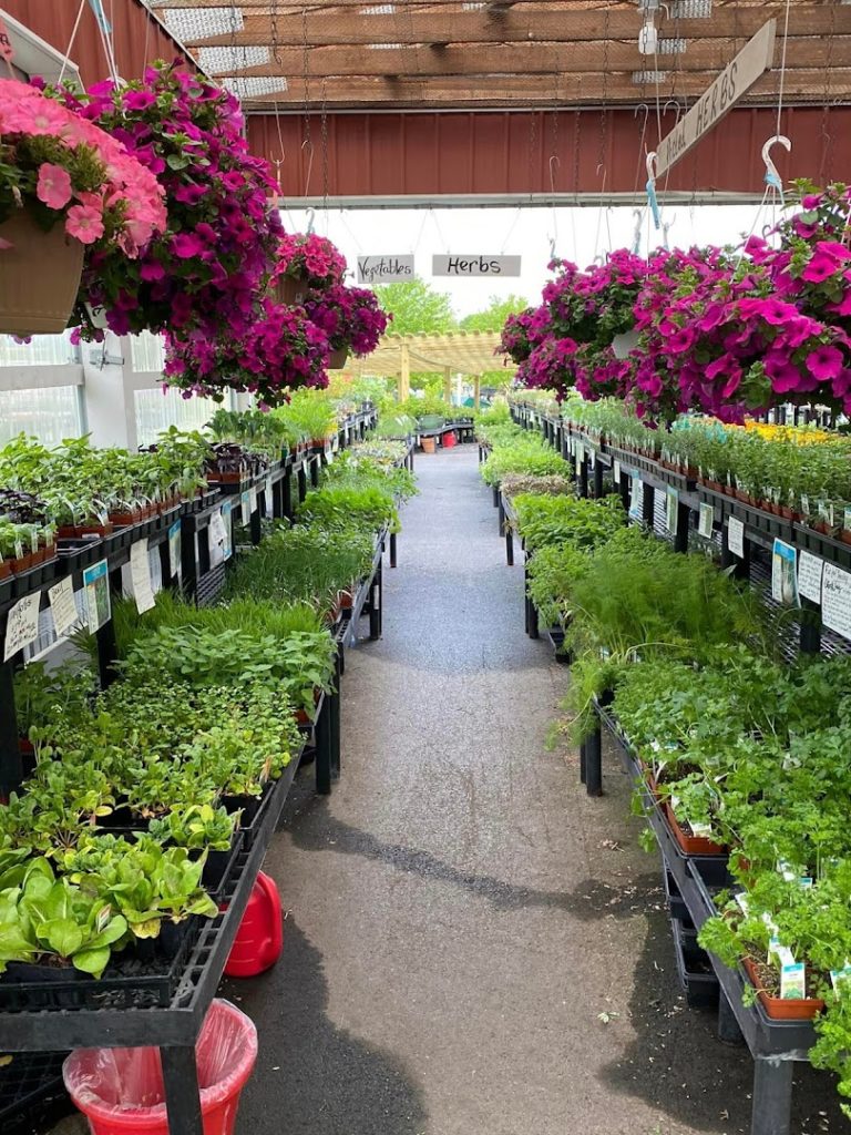 Plants in Lancaster: The Garden Center at Cherry Hill Orchards