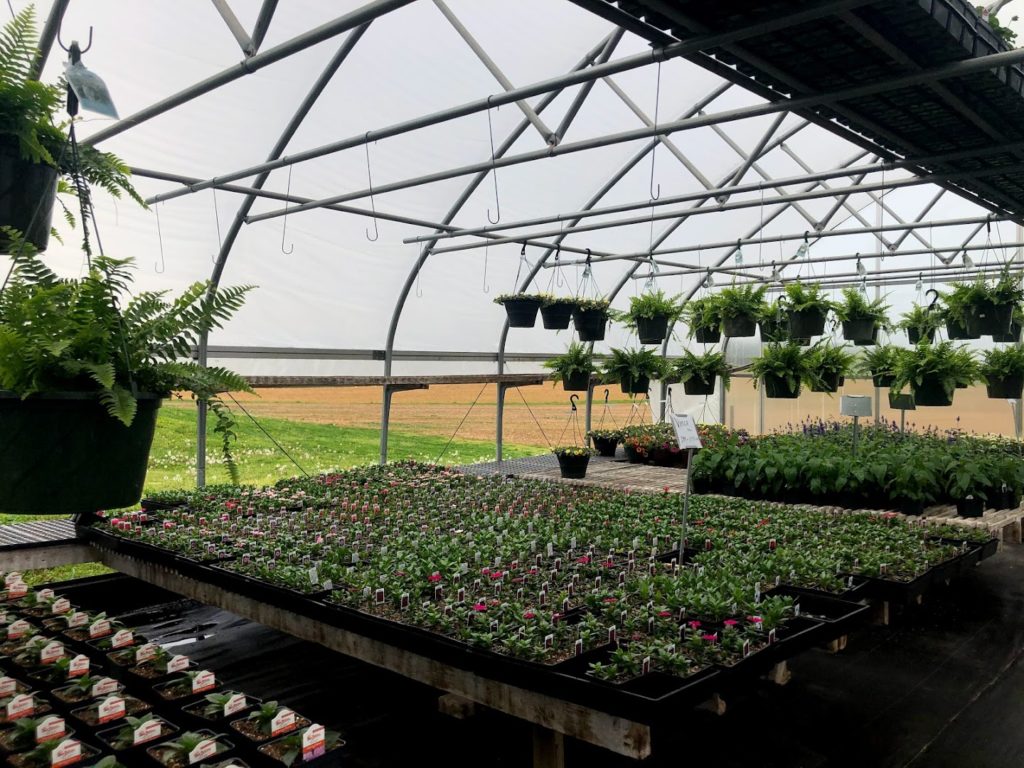 Plants in Landisville: Landisville Greenhouse