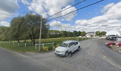 Plants in Lititz: Brunnerville Greenhouses