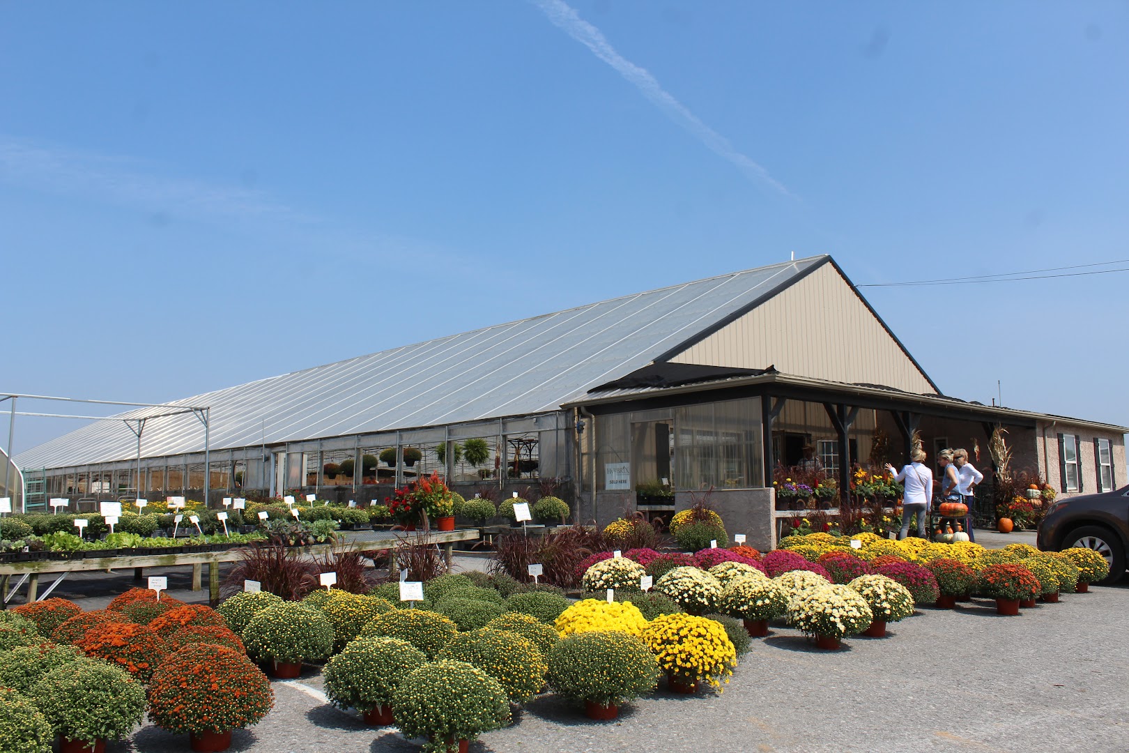 Plants in New Holland: Leid's Greenhouse LLC