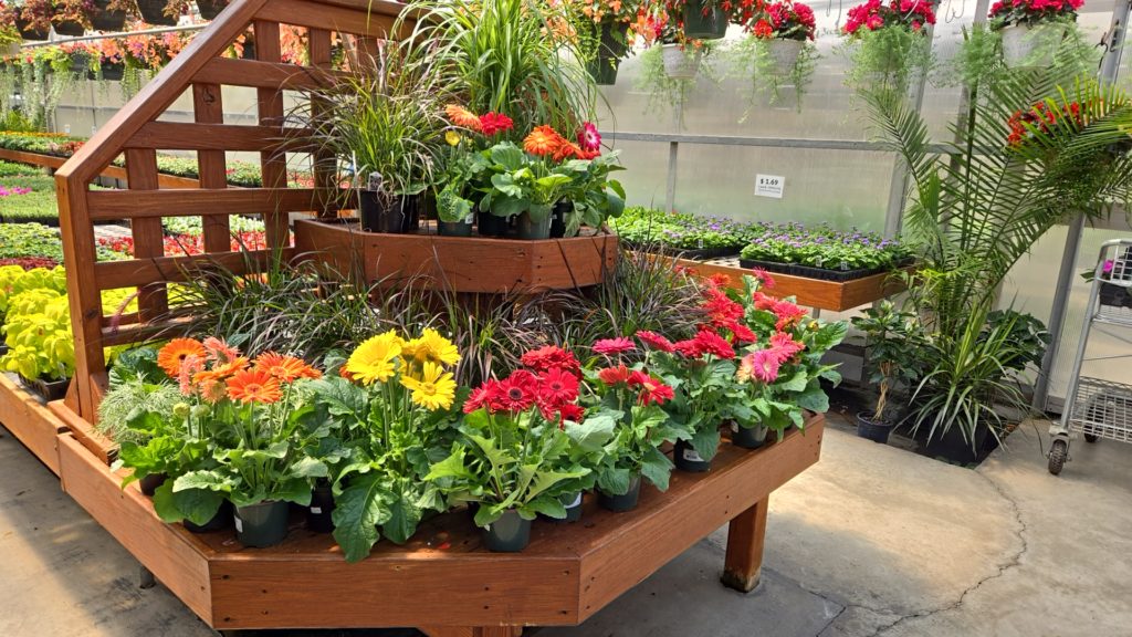 Plants in New Holland: Town's Edge Garden Center