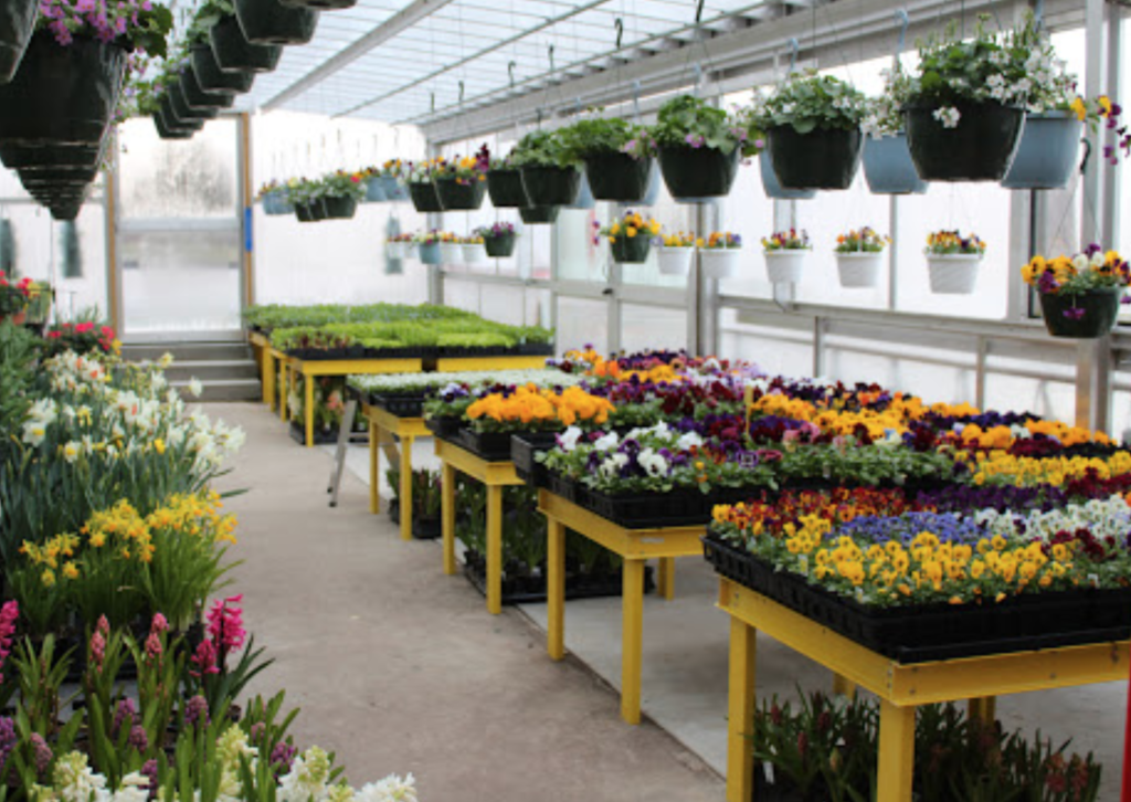 Plants in Nottingham: Shady Grove Greenhouse