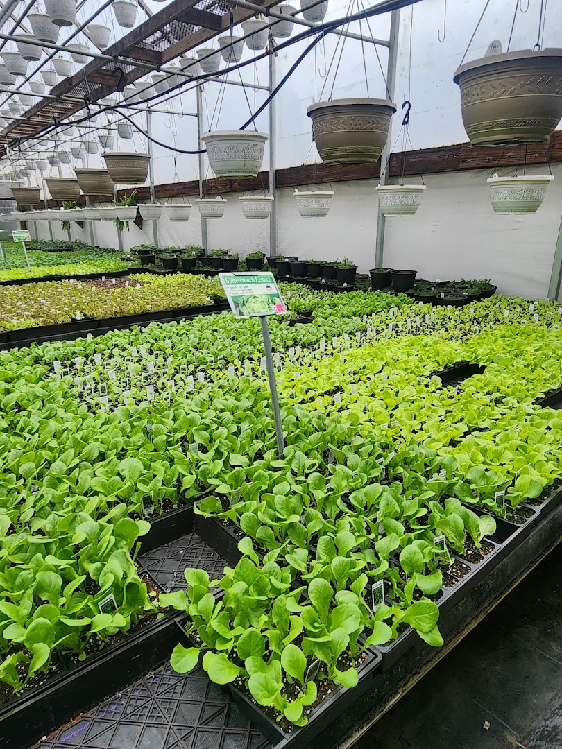 Plants in Quarryville: Ferncrest Greenhouse